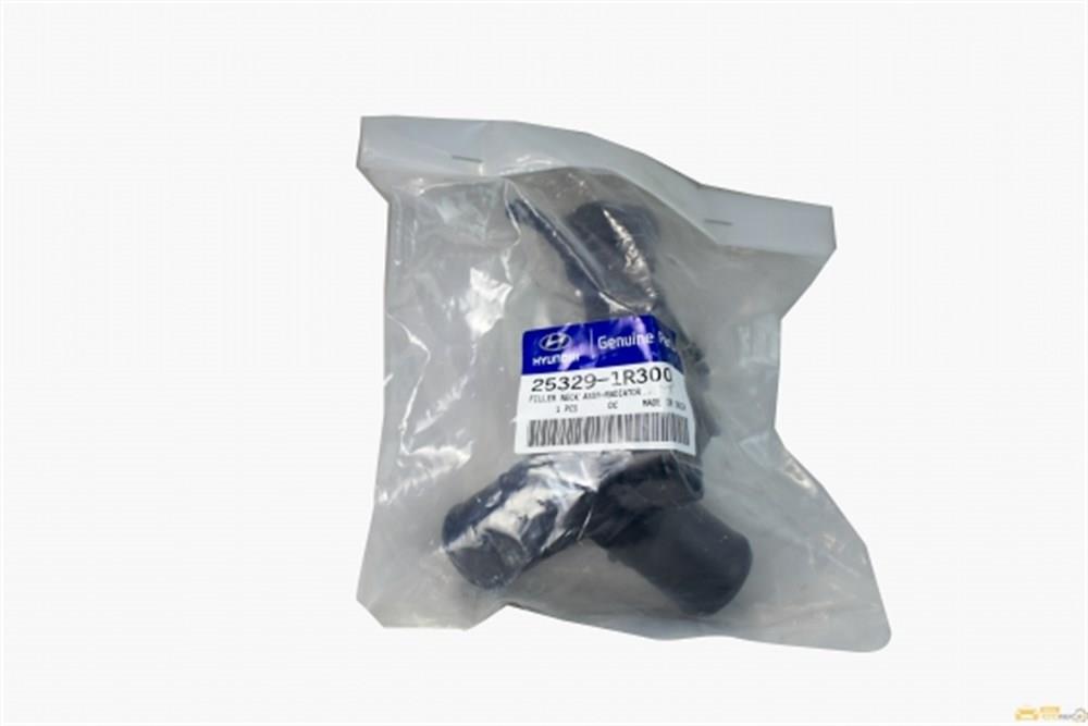Accent Blue Dizel Radyatör Su Giriş Borusu / Boğazı 253291R300